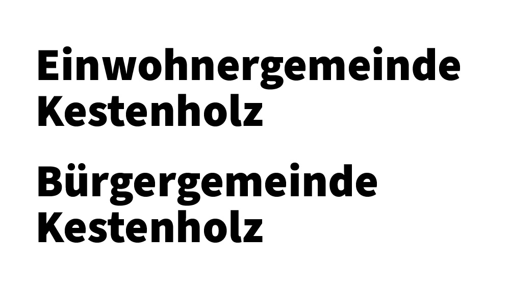 https://kestenholz2024.ch/wp-content/uploads/2023/09/schwingfest-kestenholz2024_dienstleistungssponsor_kestenholz.jpg