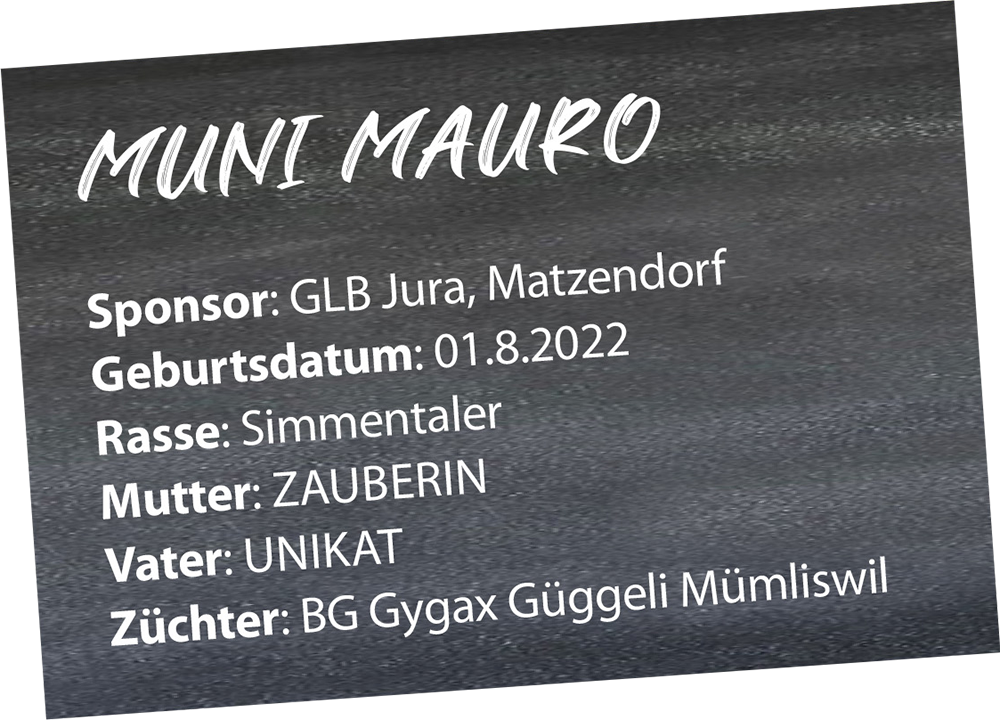 schwingfest-kestenholz2024_muni-mauro_steckbrief2